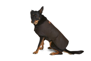 Oilskin Dog Coat